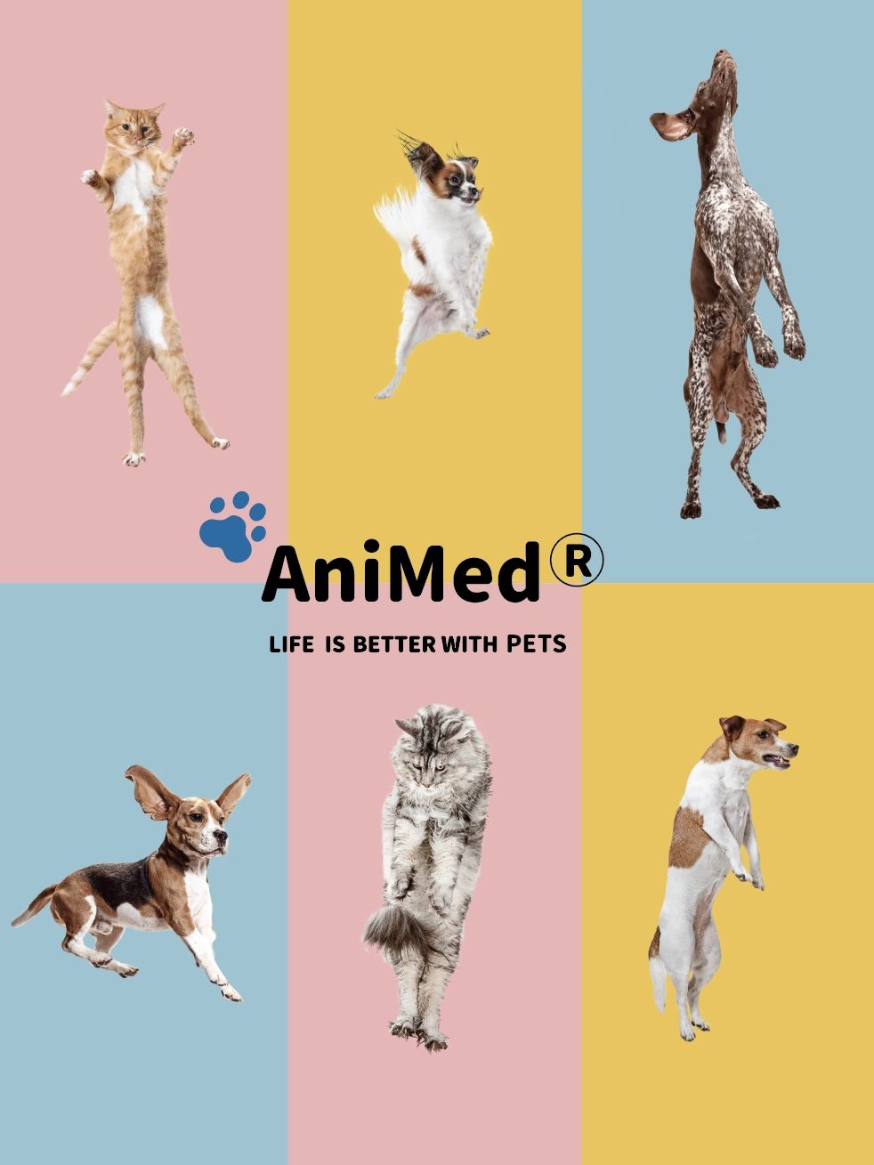 Animed-Life is better with pets