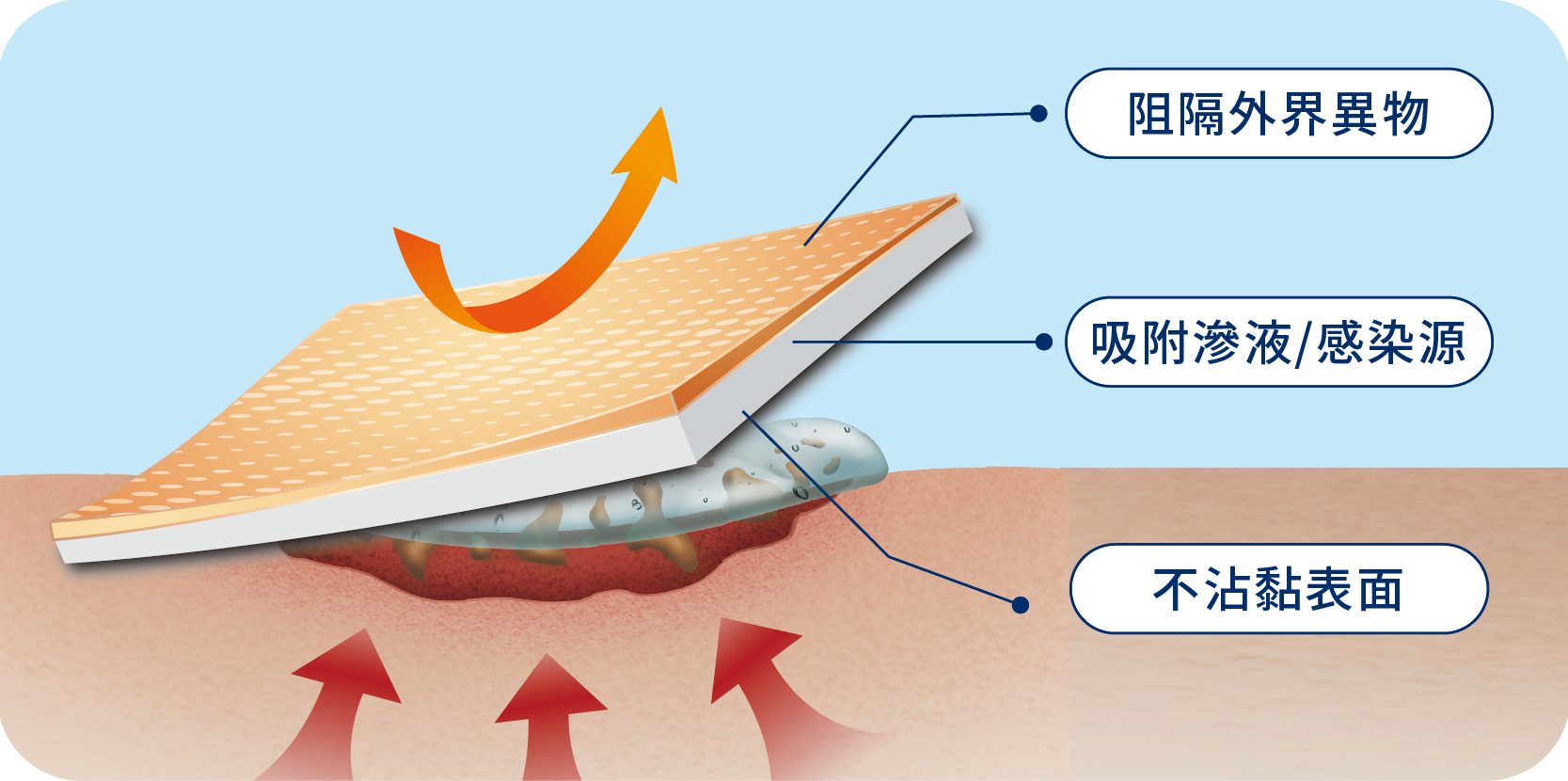 Foam Dressing Product Features 泡棉敷料產品特色